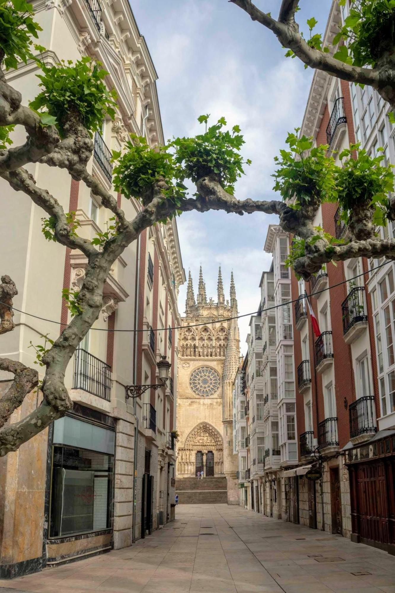 Dali'S Sanctuary In Granada - Private Parking Free Apartment Exterior photo